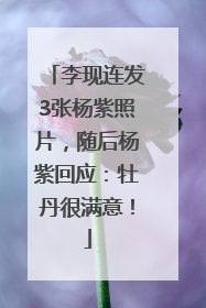 李现连发3张杨紫照片，随后杨紫回应：牡丹很满意！