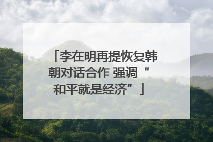 李在明再提恢复韩朝对话合作 强调“和平就是经济”