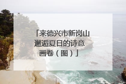 来德兴市新岗山 邂逅夏日的诗意画卷（图）