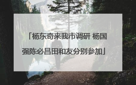杨东奇来我市调研 杨国强陈必昌田和友分别参加
