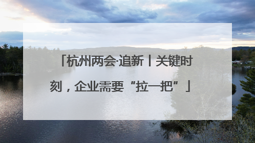 杭州两会·追新丨关键时刻，企业需要“拉一把”
