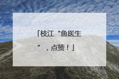 枝江“鱼医生”，点赞！