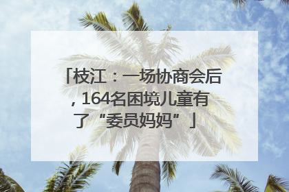 枝江：一场协商会后，164名困境儿童有了“委员妈妈”