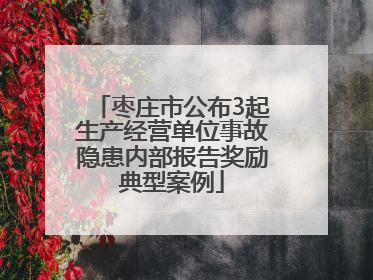 枣庄市公布3起生产经营单位事故隐患内部报告奖励典型案例