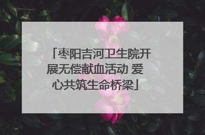 枣阳吉河卫生院开展无偿献血活动 爱心共筑生命桥梁