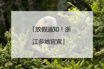 放假通知！浙江多地官宣