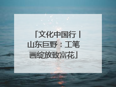 文化中国行丨山东巨野：工笔画绽放致富花
