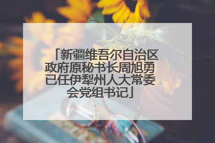 新疆维吾尔自治区政府原秘书长周旭勇已任伊犁州人大常委会党组书记