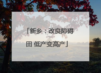 新乡：改良障碍田 低产变高产