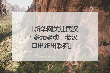 新华网关注武汉：多元驱动，老汉口出新出彩强