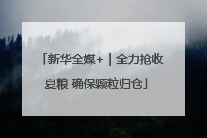 新华全媒+｜全力抢收夏粮 确保颗粒归仓