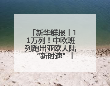新华鲜报丨11万列！中欧班列跑出亚欧大陆“新时速”