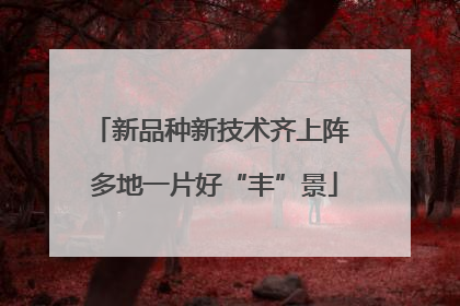 新品种新技术齐上阵 多地一片好“丰”景