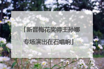 新晋梅花奖得主孙娜专场演出在石唱响