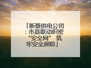 新蔡供电公司：市县联动织密“安全网” 筑牢安全屏障
