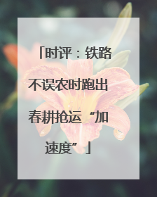 时评：铁路不误农时跑出春耕抢运“加速度”