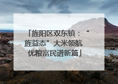 旌阳区双东镇：“旌益态”大米领航 优粮富民谱新篇