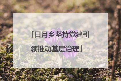 日月乡坚持党建引领推动基层治理