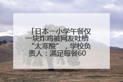 日本一小学午餐仅一块炸鸡被网友吐槽“太寒酸”，学校负责人：满足每餐600千卡的标准