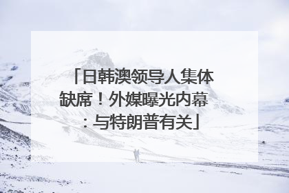 日韩澳领导人集体缺席！外媒曝光内幕：与特朗普有关
