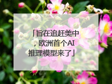 旨在追赶美中，欧洲首个AI推理模型来了