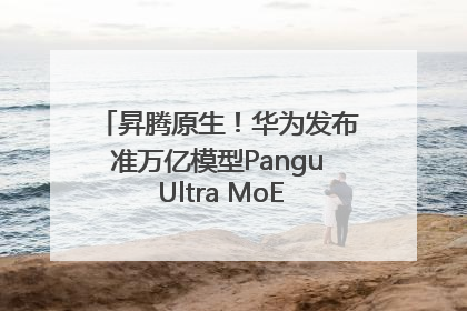昇腾原生！华为发布准万亿模型Pangu Ultra MoE模型架构和训练细节