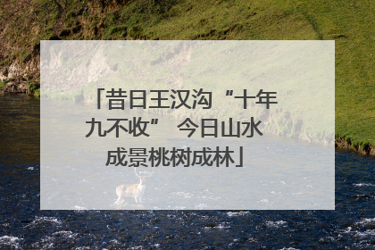 昔日王汉沟“十年九不收” 今日山水成景桃树成林