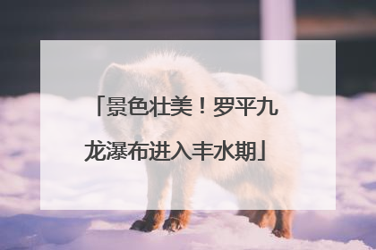 景色壮美！罗平九龙瀑布进入丰水期