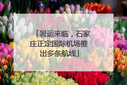 暑运来临，石家庄正定国际机场推出多条航线