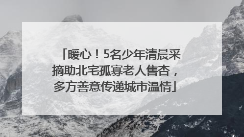 暖心！5名少年清晨采摘助北宅孤寡老人售杏，多方善意传递城市温情