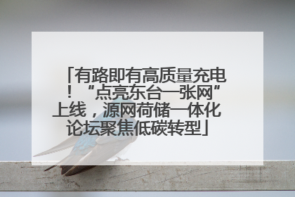 有路即有高质量充电！“点亮东台一张网”上线，源网荷储一体化论坛聚焦低碳转型