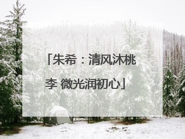 朱希：清风沐桃李 微光润初心
