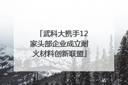 武科大携手12家头部企业成立耐火材料创新联盟