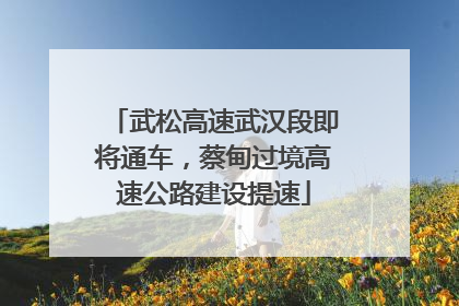武松高速武汉段即将通车，蔡甸过境高速公路建设提速