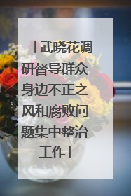 武晓花调研督导群众身边不正之风和腐败问题集中整治工作