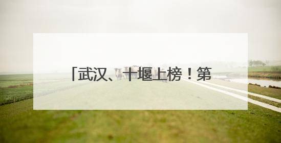 武汉、十堰上榜！第一批全国零售业创新提升试点城市公布
