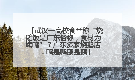 武汉一高校食堂称“烧鹅饭是广东俗称，食材为烤鸭”？广东多家烧鹅店：鸭是鸭鹅是鹅