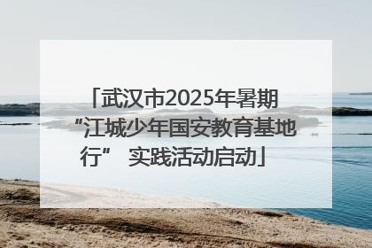 武汉市2025年暑期“江城少年国安教育基地行” 实践活动启动
