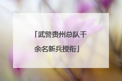 武警贵州总队千余名新兵授衔