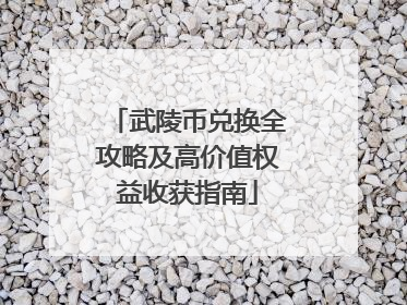 武陵币兑换全攻略及高价值权益收获指南