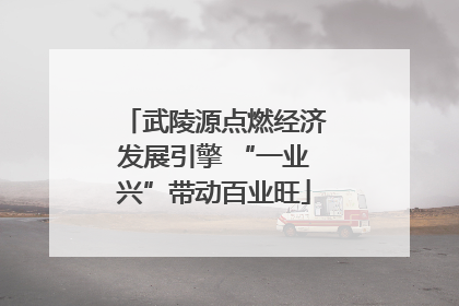 武陵源点燃经济发展引擎 “一业兴”带动百业旺