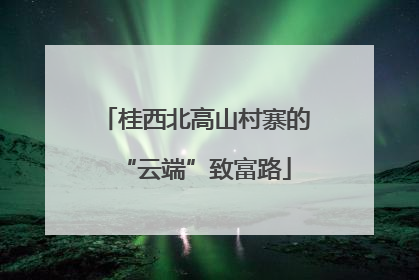 桂西北高山村寨的“云端”致富路