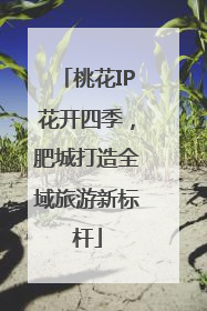 桃花IP花开四季，肥城打造全域旅游新标杆