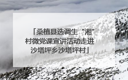 桑植县选调生“湘”村微党课宣讲活动走进沙塔坪乡沙塔坪村