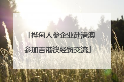 桦甸人参企业赴港澳参加吉港澳经贸交流