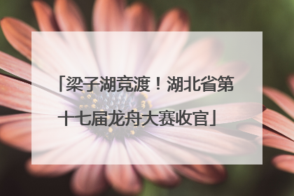 梁子湖竞渡！湖北省第十七届龙舟大赛收官