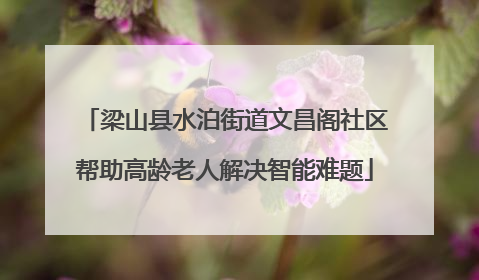梁山县水泊街道文昌阁社区帮助高龄老人解决智能难题