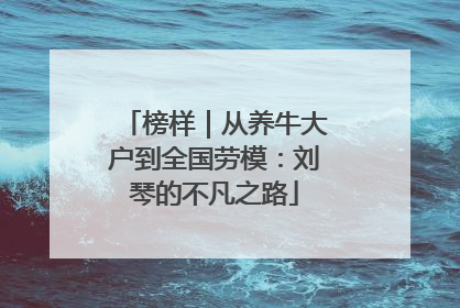 榜样｜从养牛大户到全国劳模：刘琴的不凡之路