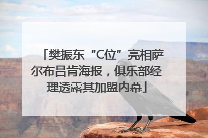 樊振东“C位”亮相萨尔布吕肯海报，俱乐部经理透露其加盟内幕