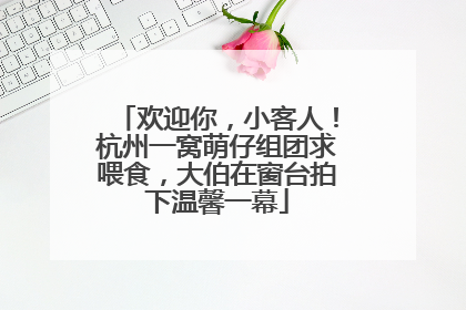 欢迎你，小客人！杭州一窝萌仔组团求喂食，大伯在窗台拍下温馨一幕